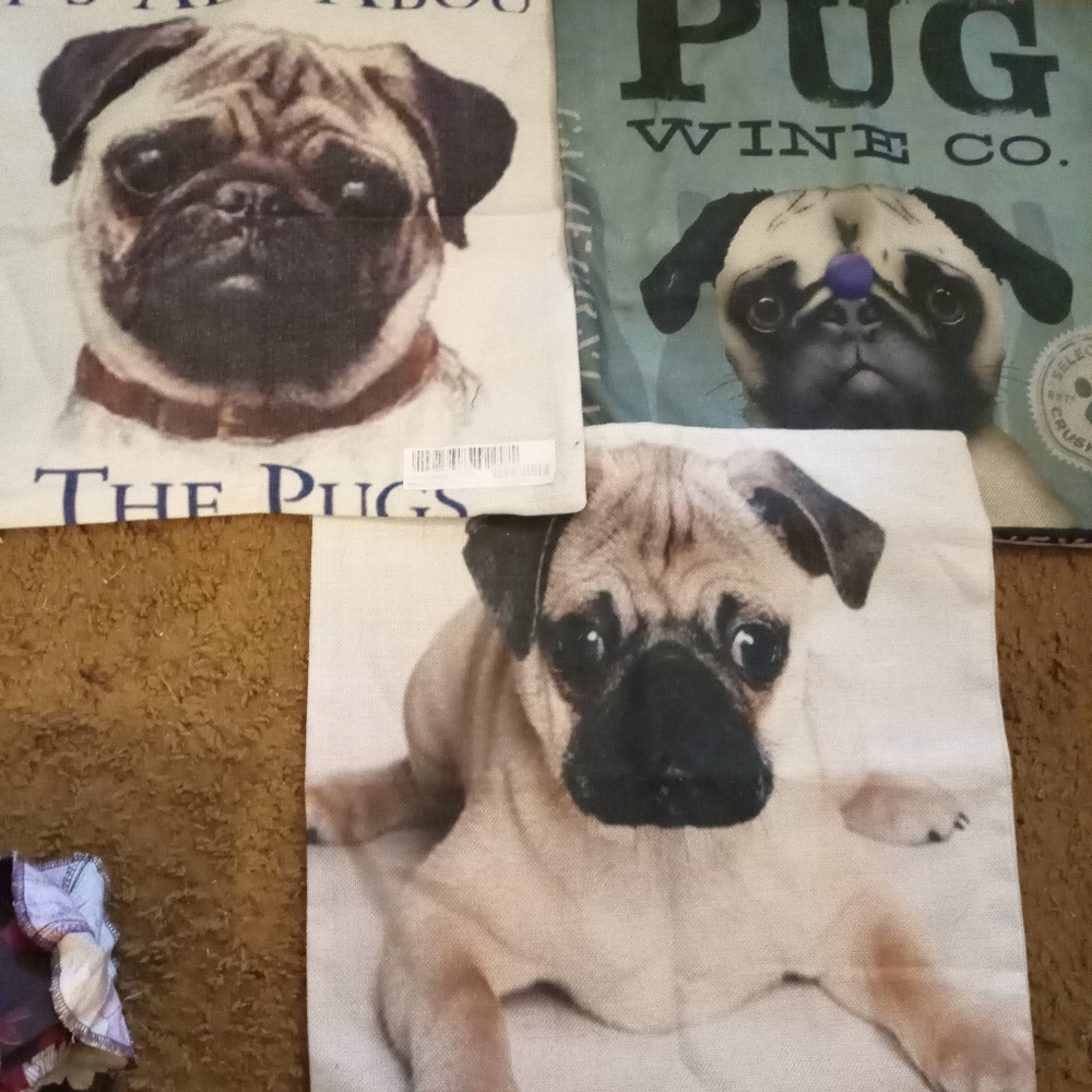Pug Pillow Covers In A Set Of 3